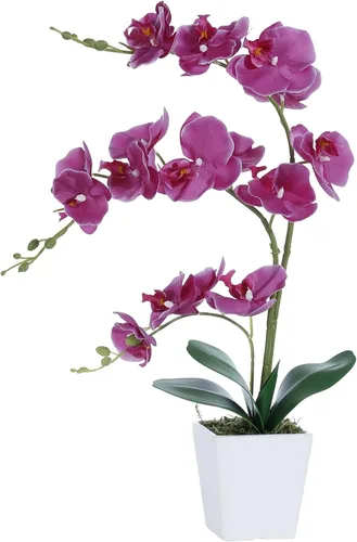 Vista 12 de Arreglos de macetas de plantas de flores de orquídea Phalaenopsis de seda artificial de 15 pulgadas de alto (verde manzana)