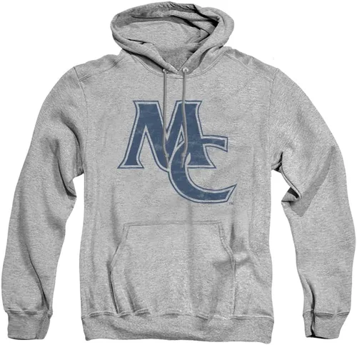 Vista 105 de Distressed College Primary Logo Adult Pullover Hoodie Collection 1 Universidad Estatal de Albany