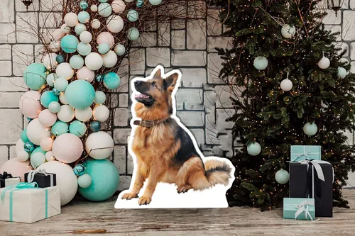 Vista 5 de Recortes personalizados de Coroplast para mascotas de tamaño real de cualquier fotografía, recortes personalizados de cuerpo completo para mascotas