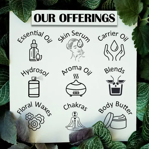 Vista 5 de dève herbes Aceite de árnica (Arnica Montana) con cuentagotas de vidrio Infusionado Puro No pegajoso Ligero para el cuidado facial