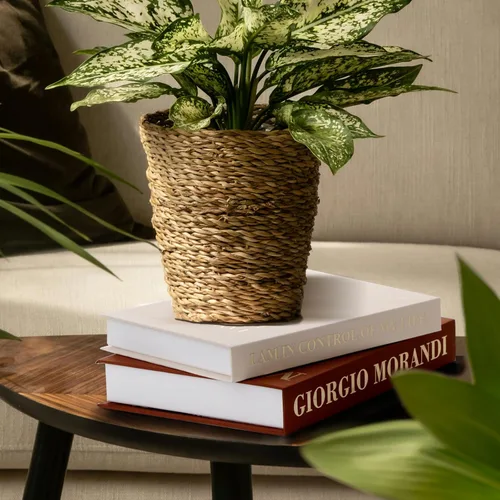 Vista 4 de Libros Decorativos - Libro Falso Moderno para Decoración, Caja de Almacenamiento de Libros Falsos para Mejorar Tu Mesa de Centro, Entrada, Comedor
