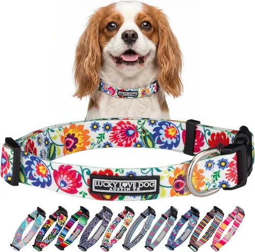 Vista 68 de Lucky Love Dog - Collar para perras pequeñas, diseño Blackbird de estampado alegre con flores de primavera y verano, talla XS Collar Blackbird