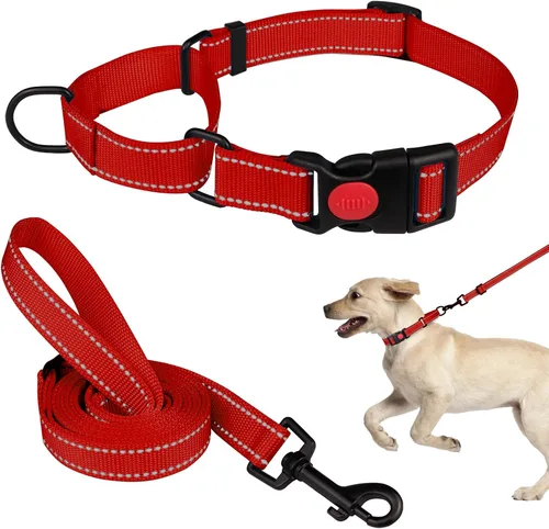Vista 11 de Set de Collar y Correa Martingale para Perros Collares de Martingale para Perros Collar de Martingale Reflectante para Perros Pequeños, Medianos