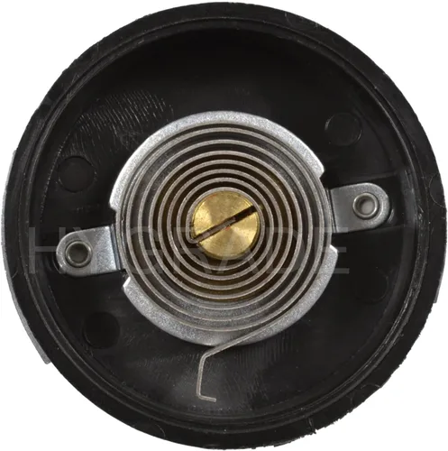 Vista 5 de Hygrade Termostato de estrangulador CV243