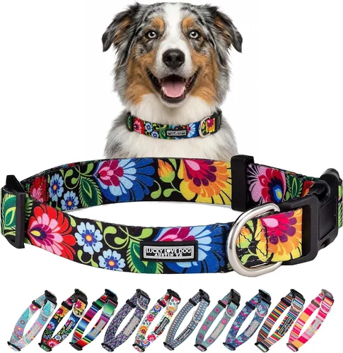 Vista 100 de Lucky Love Dog - Collar para perras pequeñas, diseño Blackbird de estampado alegre con flores de primavera y verano, talla XS Collar Blackbird