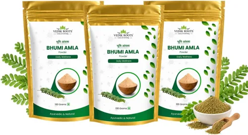 Vista 12 de Polvo orgánico Bhumi Amla – Rico en Vitamina C Antioxidante – Apoya la función inmune saludable 3.53 oz (paquete de 1)
