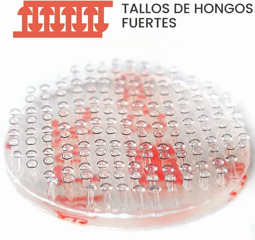 Vista 2 de CANOPUS Cinta de gancho y bucle de doble cara, cierre resellable, SJ3560, cinta de montaje resistente, paquete de 16 círculos transparentes de 1