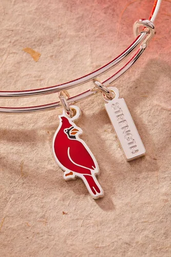 Vista 3 de Alex and Ani Pulsera Brazalete con Dije Dúo Cardinal 'Strength