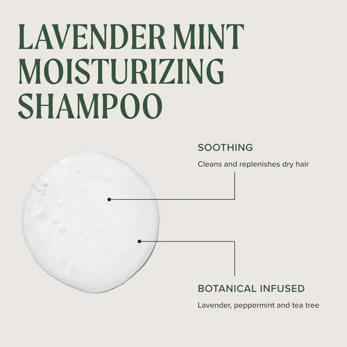Vista 3 de Champú hidratante de lavanda y menta Tea Tree, hidrata + calma, para cabello grueso y seco