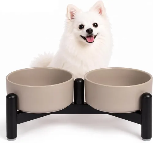 Vista 19 de Juego de cuencos elevados de cerámica para perros con soporte, 2 tazas de Negro