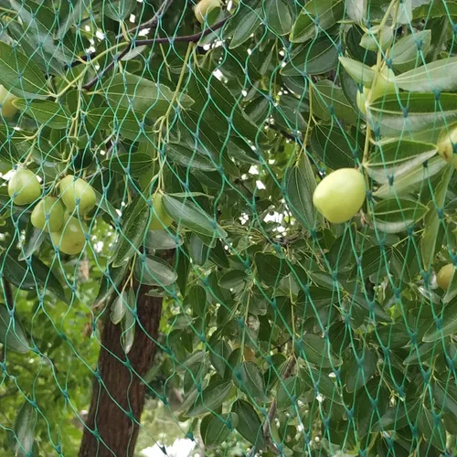 Vista 9 de Red para pájaros para jardín de 6.5 x 50 pies, malla de 1/4 de pulgada, protege arándanos, fresas, tomates, verduras. Red de árboles frutales