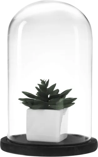 Vista 6 de MyGift The Bell Jar Cloche de cristal con base de madera negra, 10 pulgadas de alto, cúpula de cristal decorativa transparente para plantas Negro