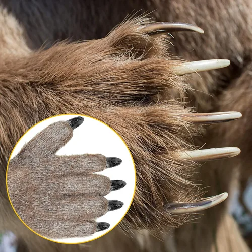 Vista 6 de Guantes de Halloween con garras de lobo peludo de animales de la pata de la bestia de las manos de la bestia para los favores de la fiesta