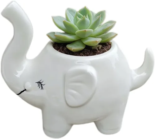 Vista 11 de Maceta de cerámica con forma de elefante, bonito recipiente para suculentas/cactus en forma de animal para decoración del hogar (4 pulgadas, blanco)
