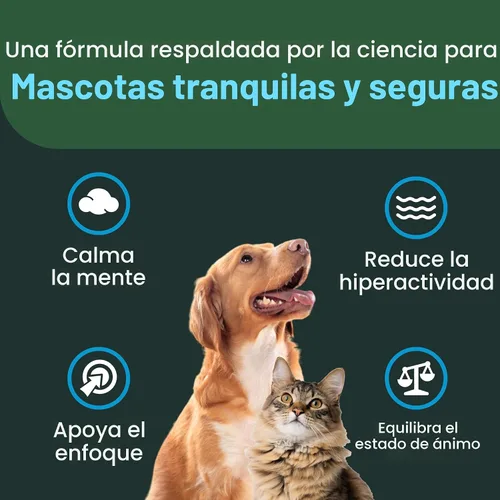 Vista 4 de Vetriscience Veterinary Strength Calm & Confident - Golosinas masticables para mascotas con estrés, suplemento para apoyar la función cerebral