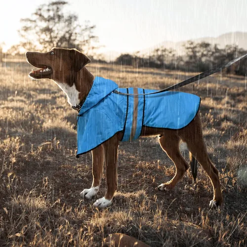 Vista 7 de Weesiber Chubasquero para perro, impermeable con agujero para correa, ropa de lluvia con capucha reflectante para cachorros, poncho para mascotas