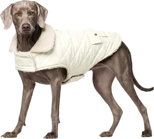 Vista 30 de Abrigo de invierno para perros pequeños, chaqueta sólida para cachorros, abrigo cálido para mascotas para clima frío, prendas acolchadas resistentes