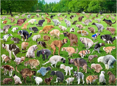 Vista 9 de Funwares Rompecabezas Original de 101 Cachorros – Rompecabezas Divertido de Perros de 500 Piezas – Regalo Divertido para Amantes de los Perros