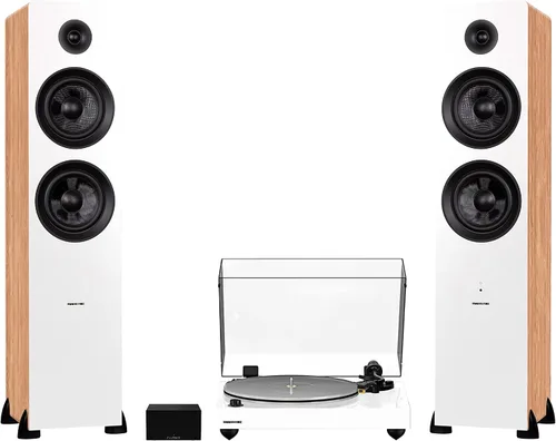 Vista 14 de Fluance RT85N Reference High Fidelity Vinyl Turntable, PA10 Phono Preamp and Ai81 Powered Floorstanding Speakers, Nagaoka MP-110 Cartridge, 150W