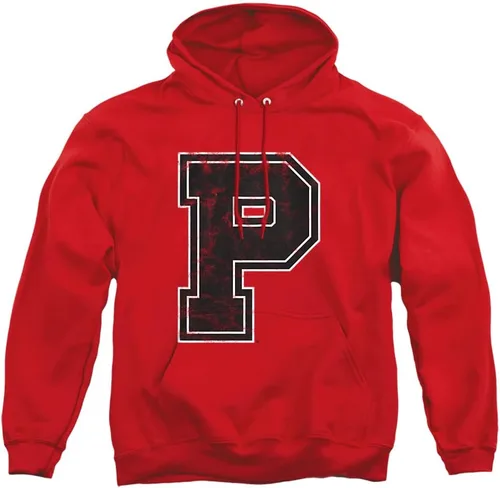 Vista 129 de Distressed College Primary Logo Adult Pullover Hoodie Collection 1 Universidad Estatal de Albany