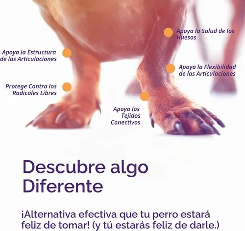 Vista 4 de MOVOFLEX - Masticables suaves para el apoyo de cadera y articulaciones para perros pequeños, 60 unidades de Virbac