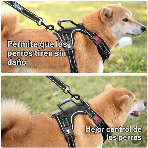 Vista 4 de PoyPet - Arnés para perro sin tirones, pechera reflectante con clip frontal para mascotas con asa vertical acolchada, 3 enganches para la correa