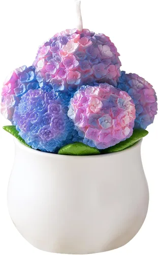 Vista 10 de Surtido suculento Pot vela perfumada para spa decoración del hogar regalo de boda
