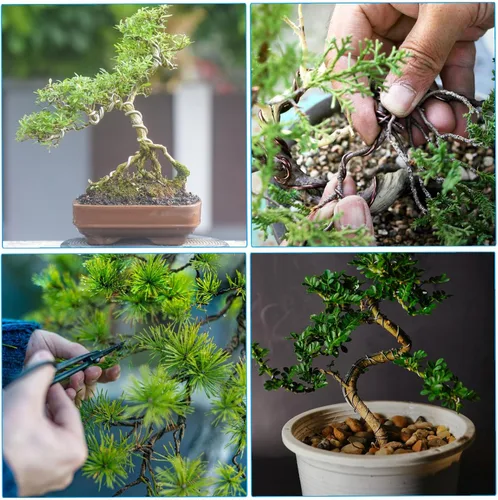 Vista 6 de PATIKIL Alambre de entrenamiento para bonsái de 1mm x 374 pies, tallos de alambre floral alambre para árbol de aluminio anodizado para fijación