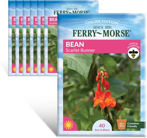 Vista 26 de Ferry-Morse Edición Online Bean Blue Lake Bush 274 Semillas Orgánicas Multipack – Paquete de 8