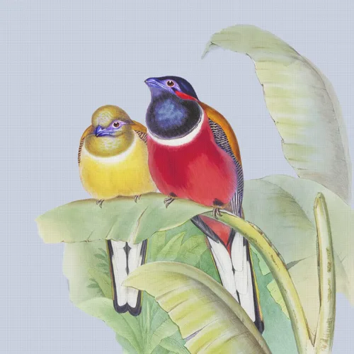 Vista 14 de Canguros australianos John Gould Counted Patrón de punto de cruz