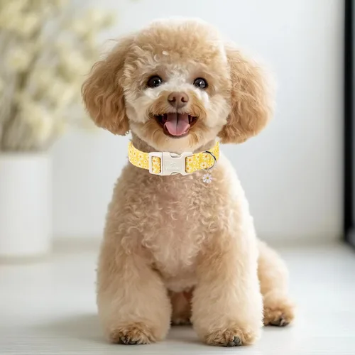 Vista 144 de Collar para perros del 4 de julio, collares patrióticos azules para cachorros y perros pequeños, ligero y ajustable 1776 collares para cachorros