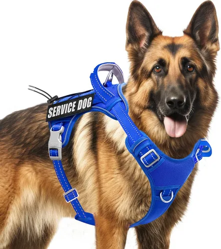 Vista 15 de BARKBAY Chaleco táctico para perro, arnés ajustable reflectante K9, de fácil control, sistema militar Molle para perro, sin tirones, color negro