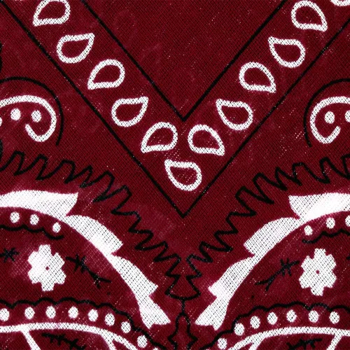 Vista 6 de OCD Bargain Bandana, 100% Cotton Versatile Large Paisley Bandanas in Pack of 5 (Multi Color)