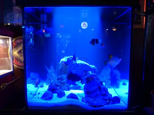 Vista 5 de Módulo gran angular LED azul POD SMD impermeable 12V borde gabinete tira marina automotriz iluminación 4