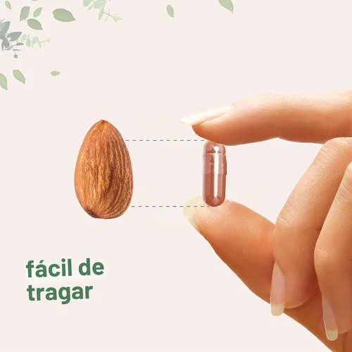 Vista 5 de Micro Ingredients Extracto de té verde extra fuerte, 300 cápsulas Suministro para 5 meses Suplemento antioxidante de polifenoles de máxima