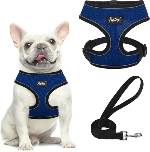 Vista 70 de PUPTECK Juego de arnés y correa de malla suave para perro, cachorro y gato, cómodo chaleco acolchado sin tirones, azul Pascua, S