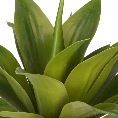 Vista 2 de Suculenta de agave artificial (mediana)