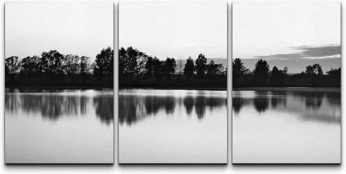 Vista 30 de NWT Juego de Arte de Pared de Lienzo Enmarcado Bosque Blanco y Negro Reflejo de Lago Paisaje Naturaleza Vida Silvestre Arte de Fotografía Rústico