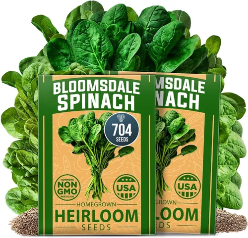 Vista 33 de HOME GROWN - Semillas de zinnia rosadas – 600 Zinnias Luminosa de 0.02 oz, semillas de flores anuales fáciles de cultivar para plantar al aire libre
