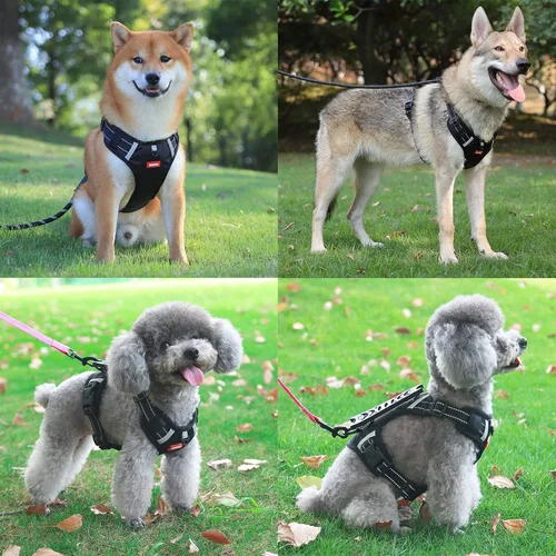 Vista 10 de Arnés para perros medianos y grandes, chaleco de servicio antitirones con asa, collar para perros pequeños y grandes, con cuello y pecho ajustables