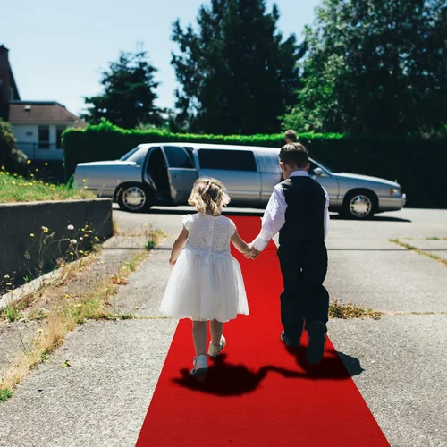 Vista 6 de EZLucky Corredor de Alfombra Roja para Fiestas, 2.6 x 15 pies, Tela No Tejida de Fieltro de 130 GSM, Alfombra Roja de Hollywood para Eventos