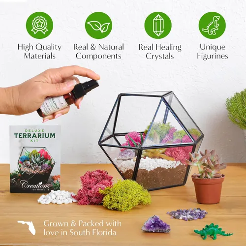 Vista 5 de Creations by Nathalie – Kit de bricolaje grande para terrario de inicio con tierra, musgo, piedras, cristal de curación, herramientas y suministros