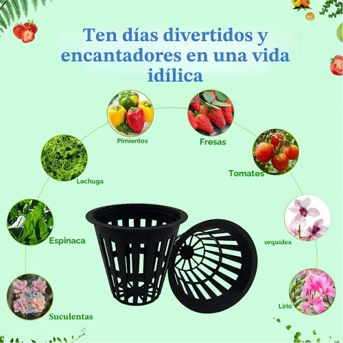 Vista 4 de 100 macetas de red resistentes de 2 pulgadas, vasos hidropónicos de malla ranurada para jardín, macetas de red para plantas y vivero