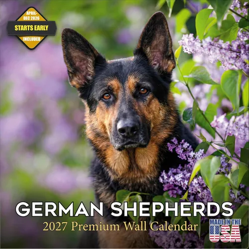Vista 172 de Calendario de Lebrel Afgano 2025 2026, calendario mensual de pared de raza canina, 12" x 18" abierto, papel grueso sin traspaso, ideal para regalo