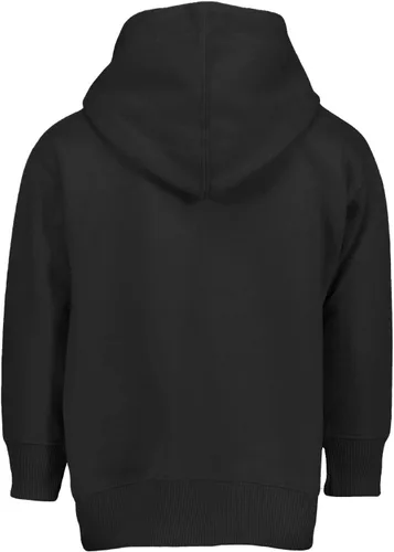 Vista 3 de Haase Unlimited Cómo identificar Bigfoot - Sudadera con capucha de forro polar Sasquatch Myth para niños pequeños y jóvenes