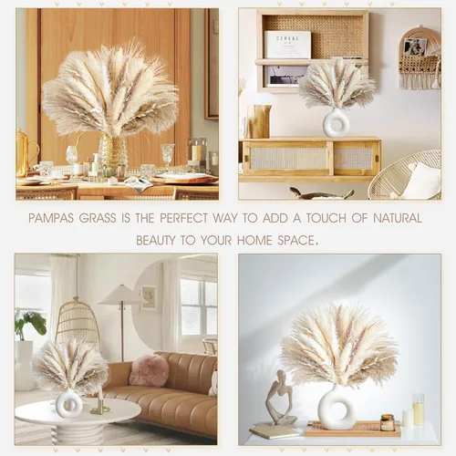 Vista 2 de 70 UNIDADES Hierba de Pampa Seca Natural Estilo Boho para Decoración del Hogar Ramo de Phragmites Flores Secas para Arreglos Florales de Boda