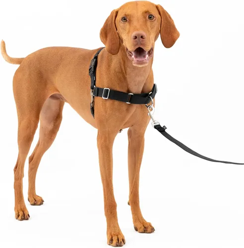 Vista 43 de PetSafe Easy Walk - Arnés para perro, sin tirones, gris carbón Carbón/Negro