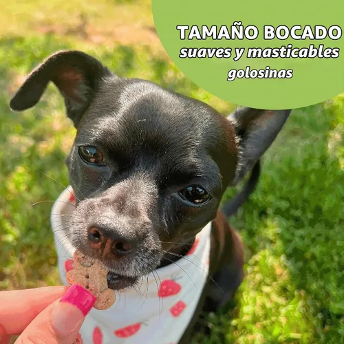 Vista 8 de Buddy Biscuits Softies - Bolsa de 6 onzas, suave y masticable, golosinas para perros con sabor a pollo tostado natural, horneadas en los Estados