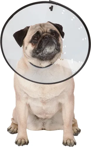 Vista 9 de Collares isabelinos — Collares de plástico duraderos que evitan que las mascotas laman las zonas heridas – XS, transparente