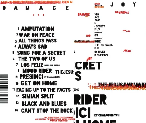 Vista 2 de Damage And Joy